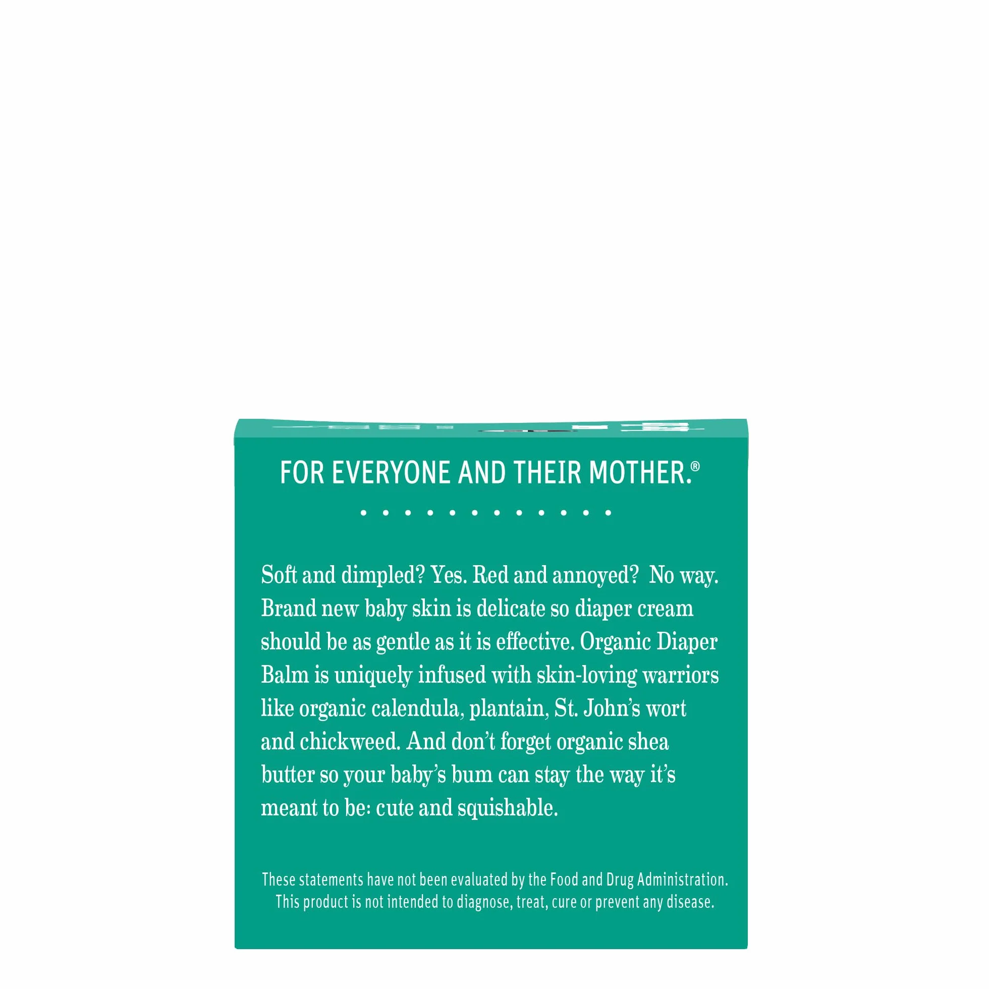 Earth Mama Angel Baby Angel Baby Bottom Balm, 1 opakowanie (1 x 60 ml)