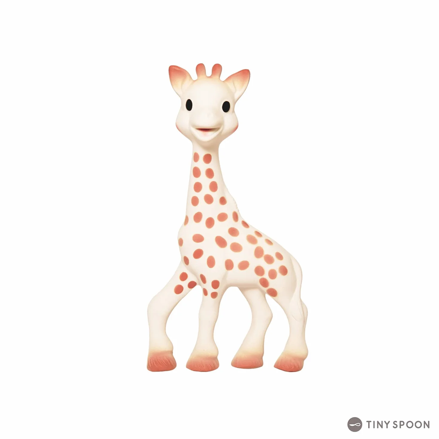 Sophie la Girafe Zestaw x GCF (Giraffe Conservation Foundation)