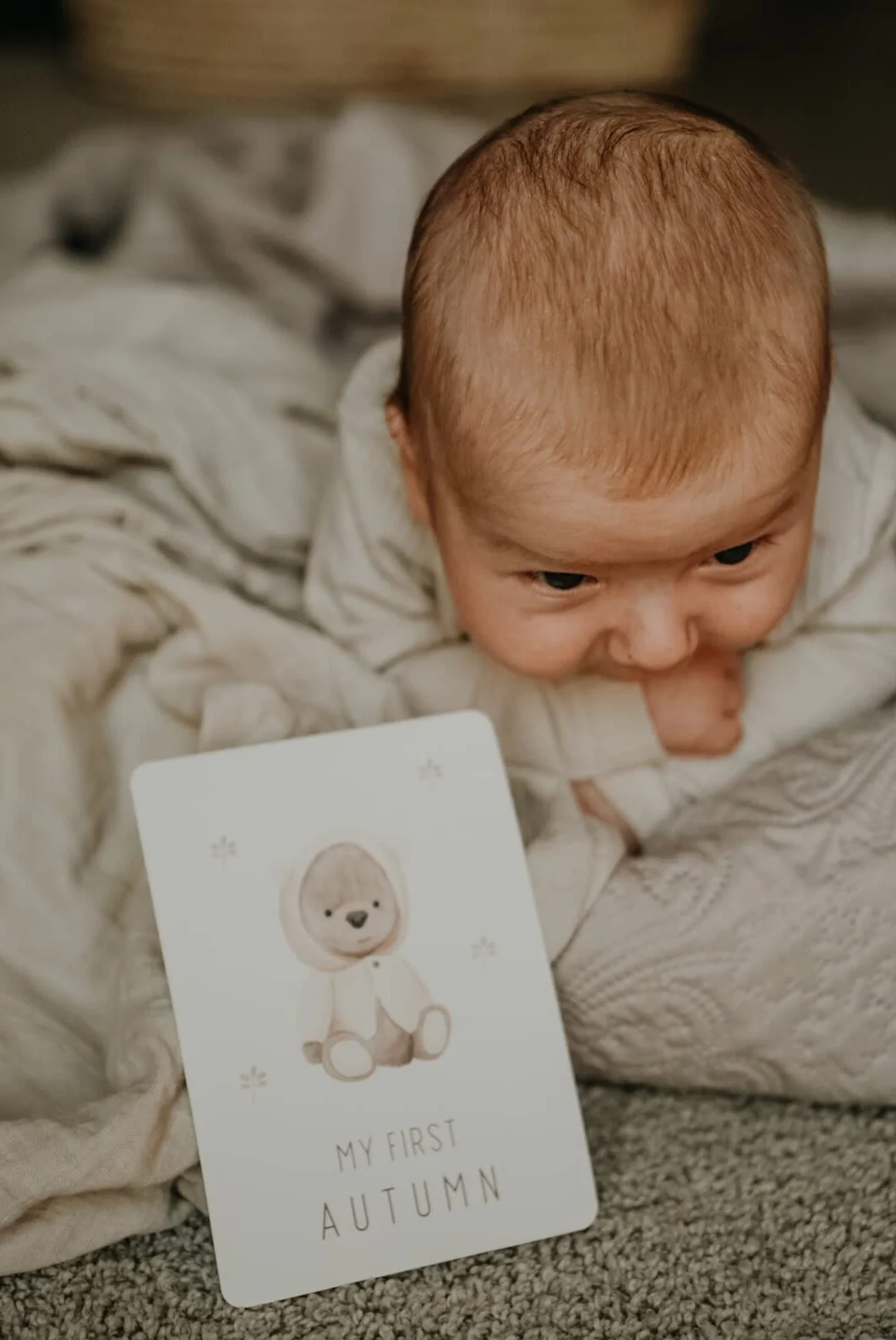 OLGS Baby Milestone Cards Monthly zestaw 60 kart Teddy Lou dla chłopca i dziewczynki, neutralne pod względem płci, Baby Milestones + pudełko magnetyczne, baby shower, prezenty na specjalne momenty