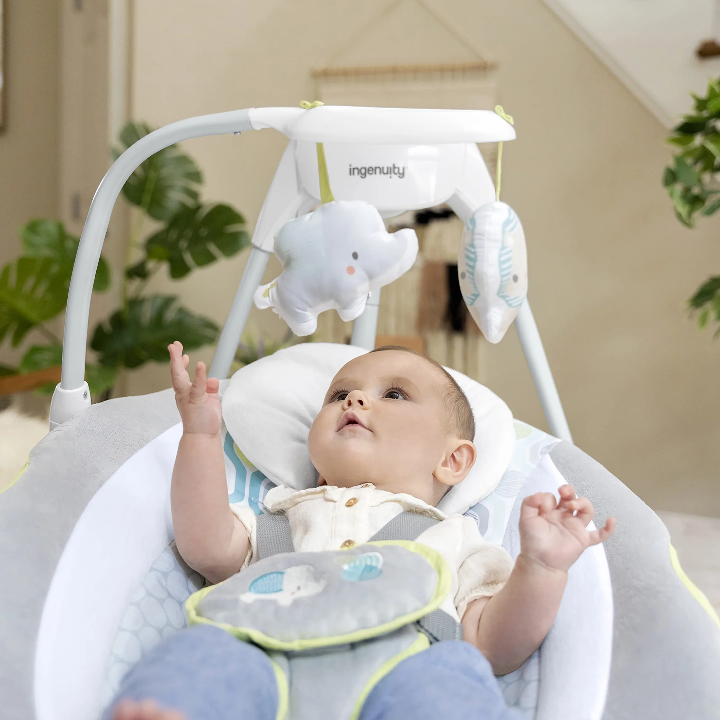 Ingenuity 11149-1 Bujak, Wielokolorowy, Do 9 Kg