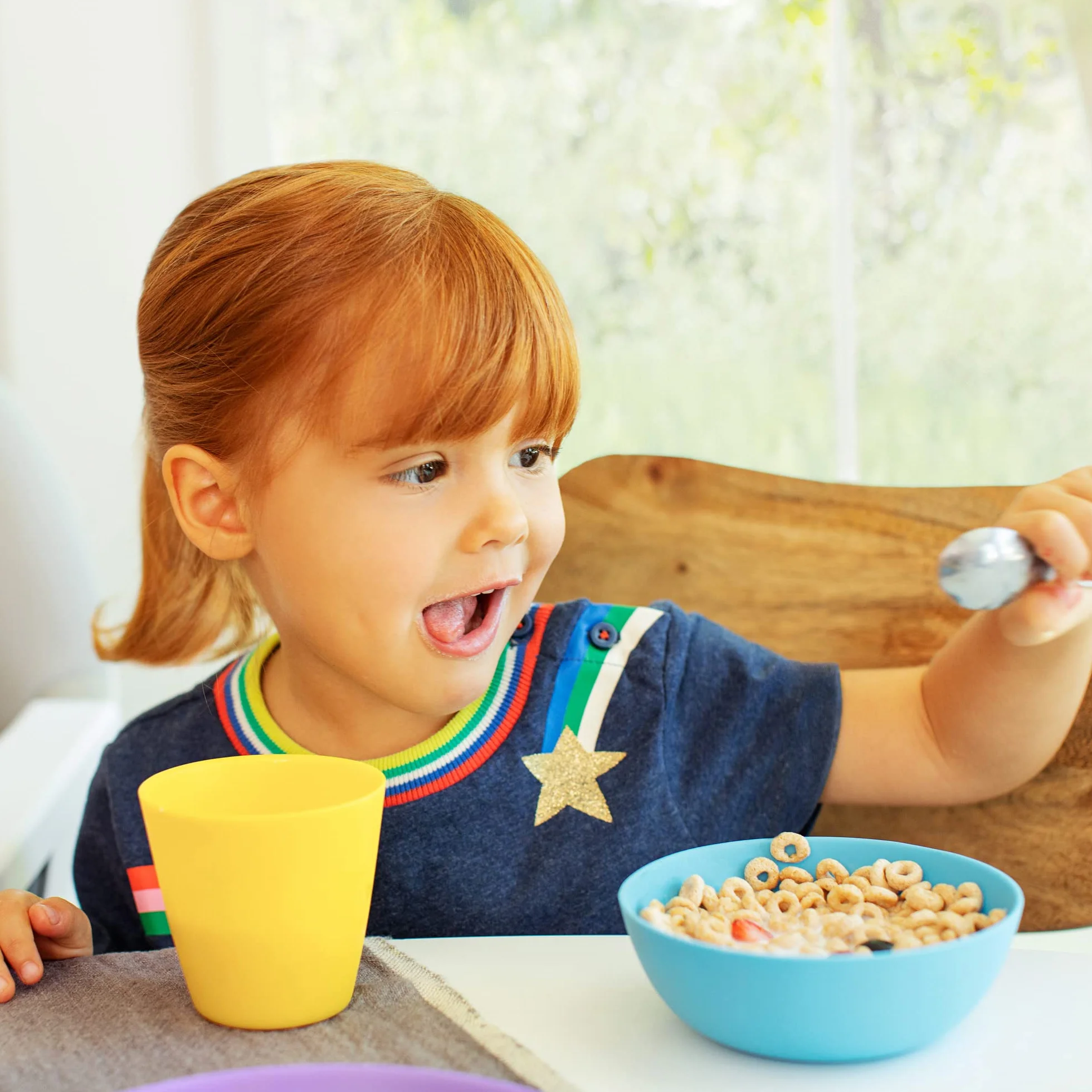 Munchkin Zestaw talerzy dla wielu maluchów i niemowląt, naczynie bez BPA, kolekcja do odstawienia od piersi, 8 szt