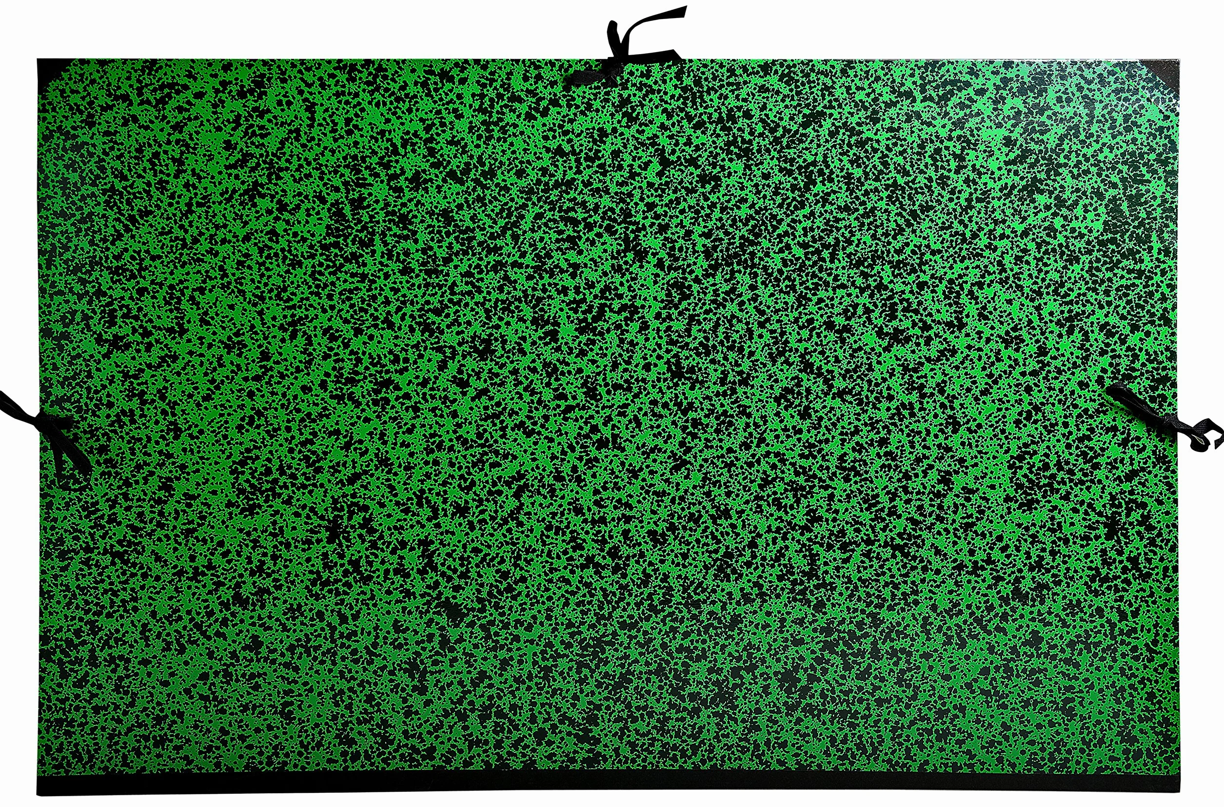Exacompta 533400E Teczka kreślarska Annonay - taśmy do zamykania - rozmiar 75x105 cm - do formatu B1 - kolor: zielony