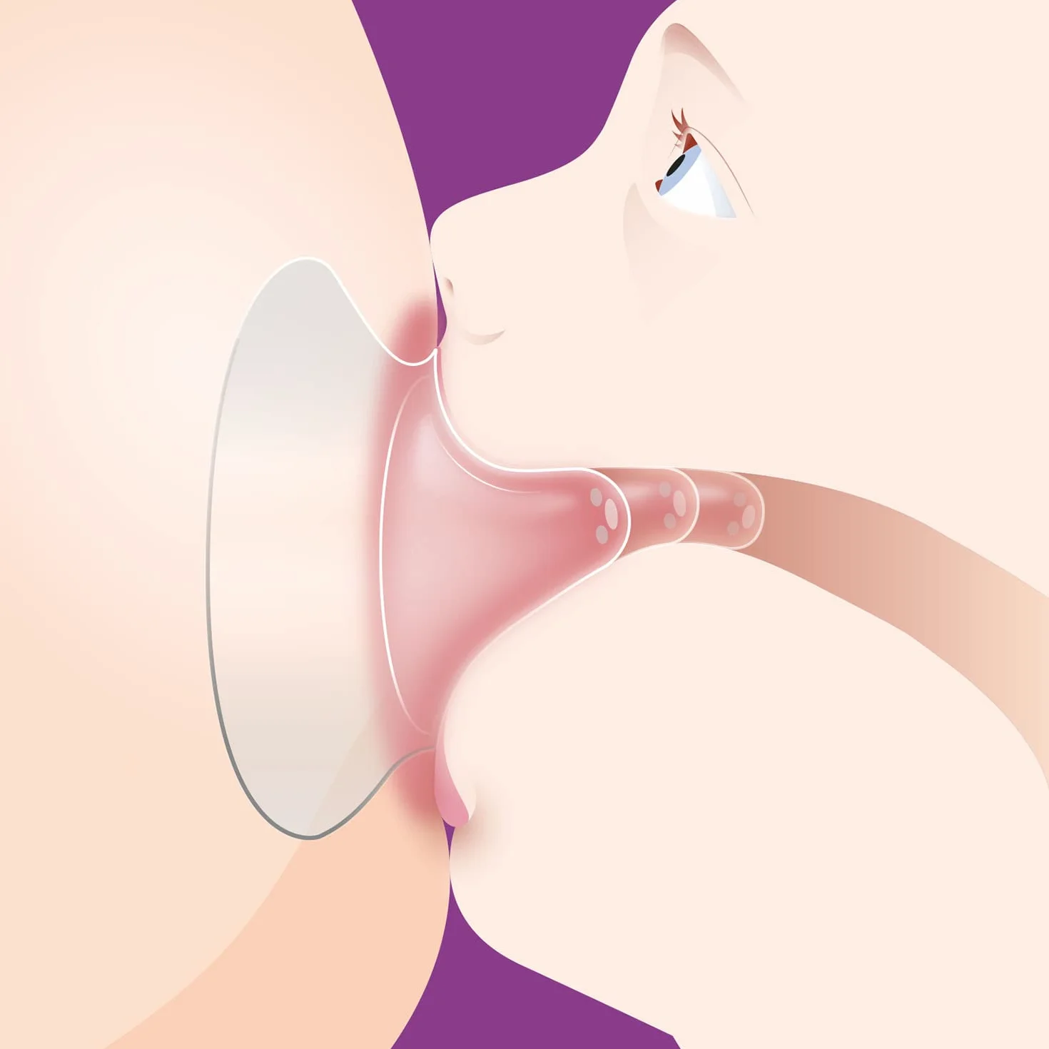 Philips Avent nakładki na klatkę piersiową (model SCF153/01)
