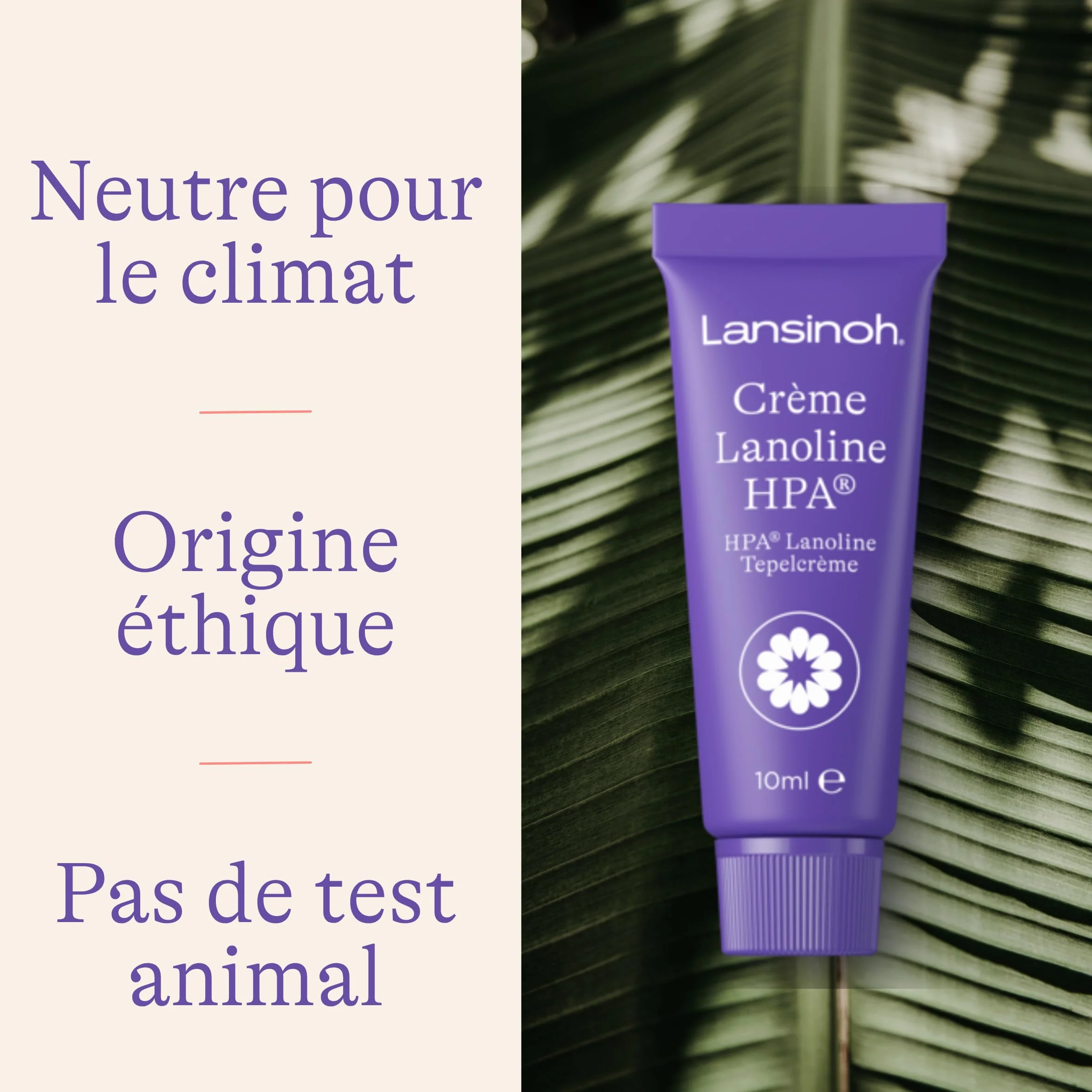 Lansinoh HPA Lanolina maść na brodawki sutkowe, 100% naturalna – uspokaja i chroni uszkodzone sutki – Dermatest "bardzo dobra 10920, przezroczysta, 10 ml (1 opakowanie)