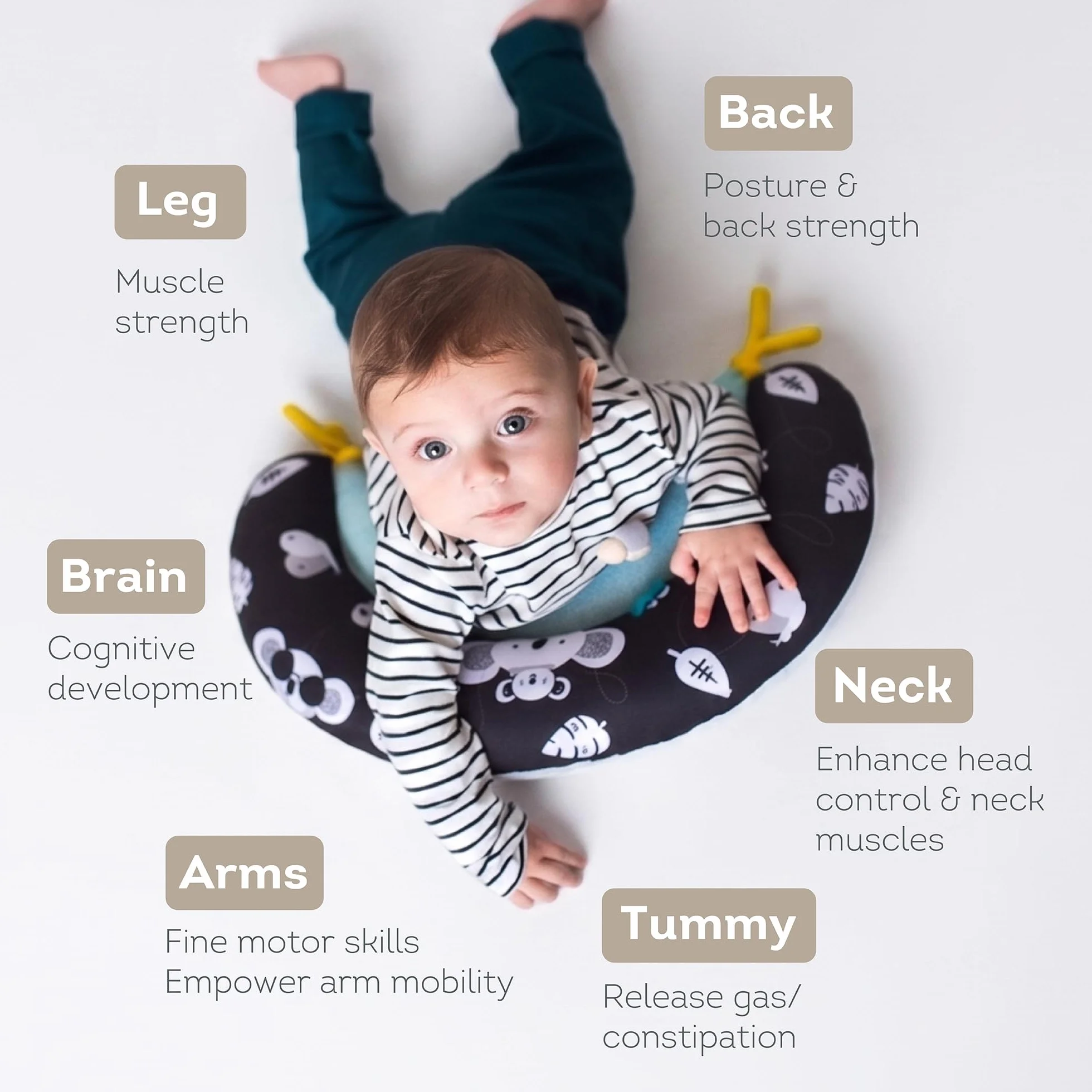 Taf Toys 2 in 1 Tummy Time Developmental Pillow. Multi-use Super Soft Comfy Newborn Baby Nursery Support Pillow. Helps Strengthen Baby's Core & Neck Muscles. Suitable for Boys & Girls from Birth