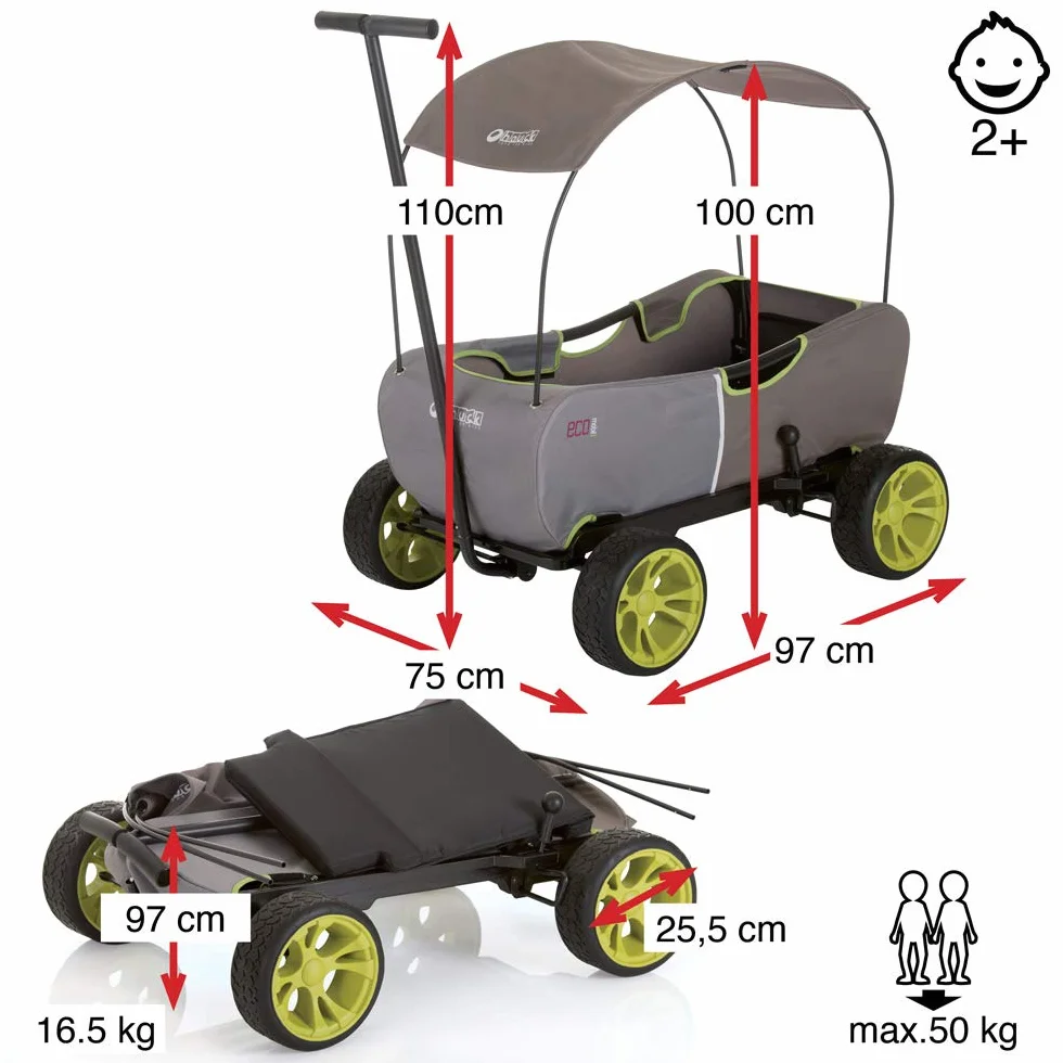 Hauck Wózek Transportowy Eco Mobil, dla Dwojga Dzieci, od 2 Lat, Ładowność do 50 kg, Stabilny, Nieprzechylny, Składany, Hamulec Postojowy, Resorowany, Zdejmowany Dyszel, Zadaszenie, Poduszka