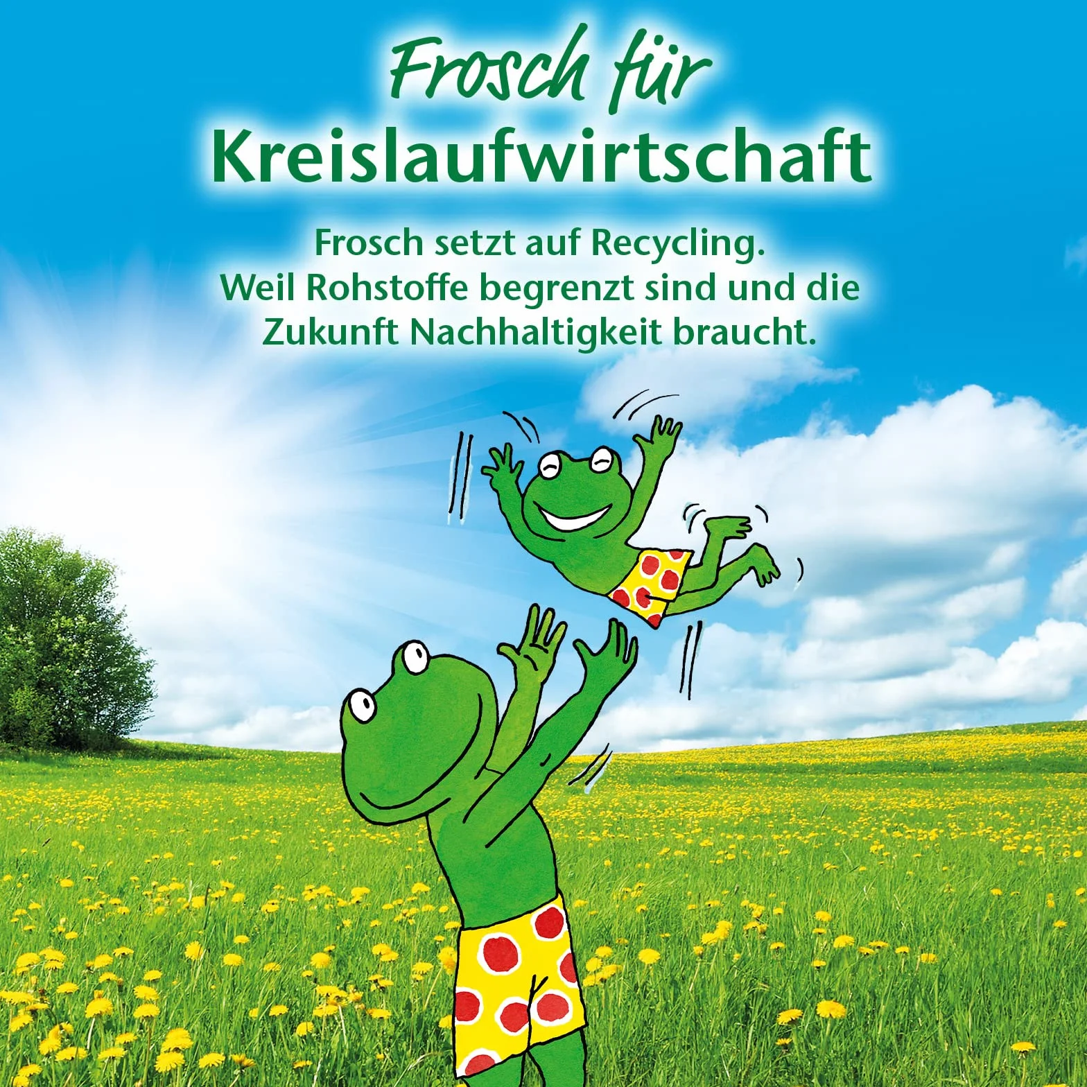 Frosch Płyn do mycia dla niemowląt 500 ml, 8 sztuk (8 x 0,5 l)